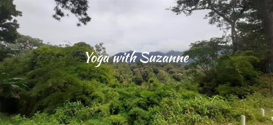 yoga with suzanne
